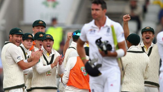 Gone: Australia takes great joy in the dismissal of Kevin Pietersen.