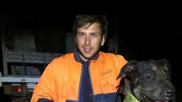 Cobram man in court for 'training' dogs to kill wild animals