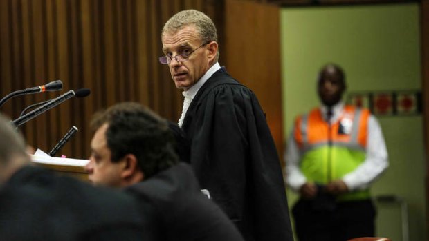 State Prosecutor Gerrie Nel examined Oscar Pistorius' previous gun incidents at the Pretoria High Court.