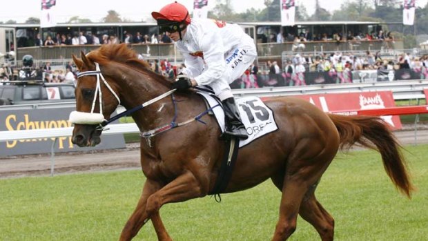 Detectives were able to sieze $1.5 million reaped from the sale of champion race horse Pillar of Hercules.