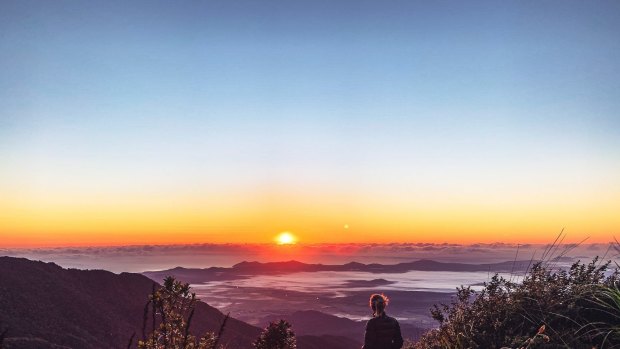 Sunrise from the summit of Queensland's highest mountain - Mount Bartle.