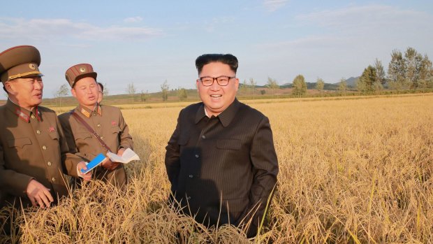 This undated photo distributed by the North Korean government on September 30, 2017, shows North Korean leader Kim Jong Un, at a farm in North Korea.