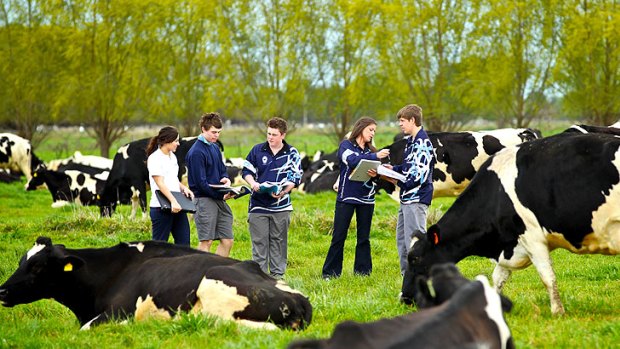 Cohuna Secondary College students, from left, Holly Barker, Alec Miller, Darcy Richardson, Georgia Bartels and Jack Miller, are learning to apply their maths skills to future careers in agriculture.
