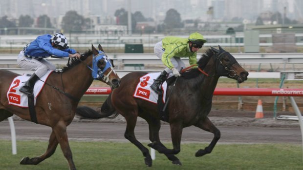 No surprises: Warm Love keeps out Definitely Ready to take out the TCL Handicap at Flemington.