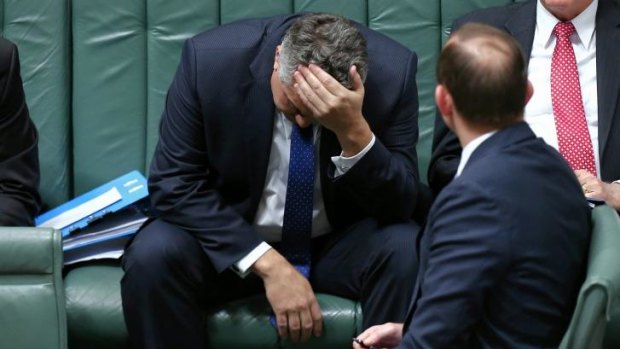 The popularity of Treasurer Joe Hockey, pictured during question time last month, has plummeted since the government's first budget in May.