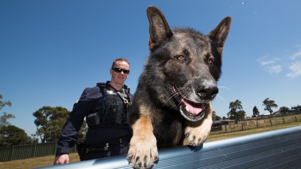 Police dog Ike and his handler, Leading Senior Constable Heath Drew.