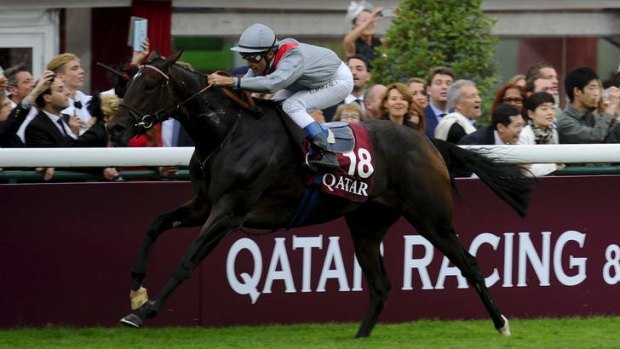 World class: Wouldn't it be great to see Arc de Triomphe winner Treve galloping down the Randwick straight?