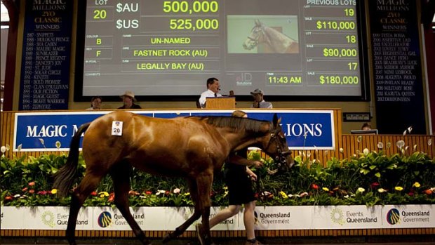 Sought after ... Fastnet Rock's descendants attracted significant attention.