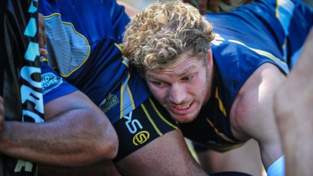 Nervous: David Pocock will return from a knee reconstruction when he leads the Brumbies in a pre-season trial against Otago.