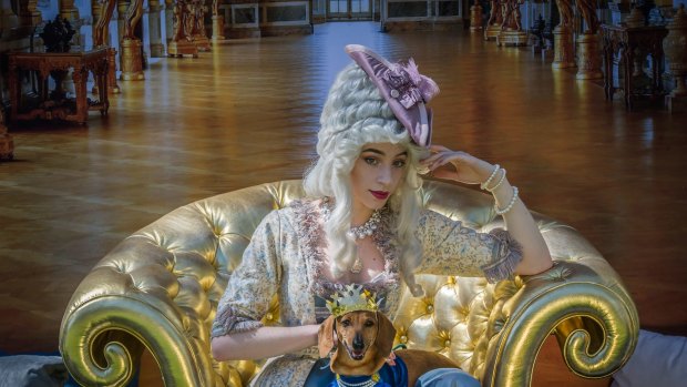 Marie Antoinette (aka Claire Mackey) and canine friend Diesel dress up in preview for the NGA's Paws for art event at the National Gallery on Jan 21.