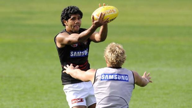 Alwyn Davey and Lewis Jetta during training at Windy Hill yesterday.