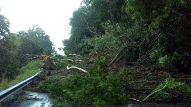 Trees knocked down in the storm block the Captain Cook Highway at Ellis Beach