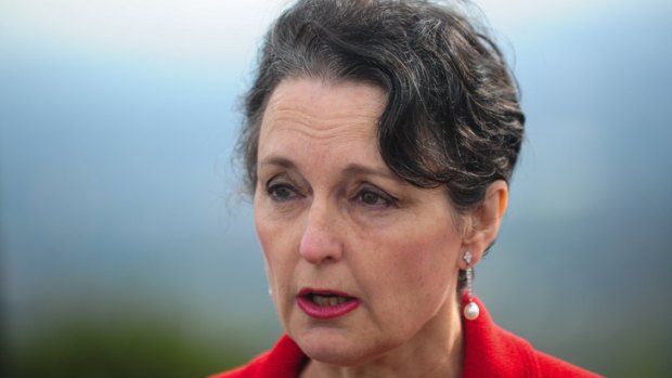 New Planning Minister Pru Goward won't find support for the government’s signature planning reforms from key crossbench MPs.