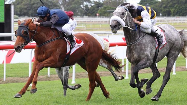 Quintessential, left, wins the Eagle Farm Cup from Manighar, right.