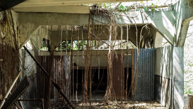 Vines overtake a medium security area in the prison.