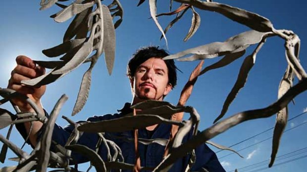 Paul Mills with his branch of 400 forged copper and steel gumleaves.