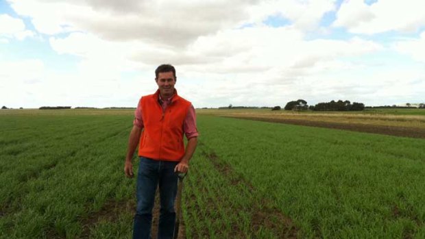 Changing his ways: Mick Dennis, who will use the new method contract farming in Africa, stands among traditionally grown crops and a test crop at Birregurra near Colac.