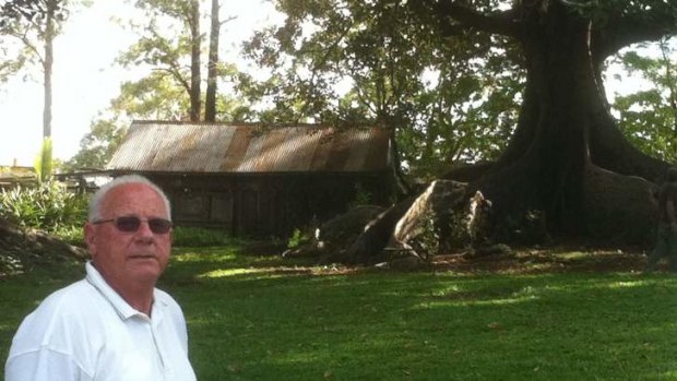 John Bynes at Old Petrie Town where one 300-year-old fig tree will be destroyed.