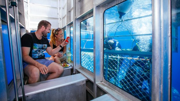Forget the wetsuit - travellers can now dive with great whites without having to leave the boat.