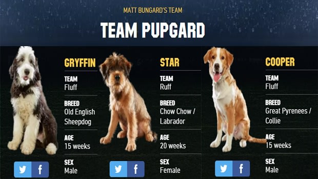 Bred for success: you can draft your own fantasy team for the Puppy Bowl.