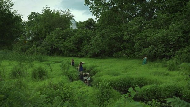 'The Creek'  is an exploration of the informal rites of passage created by young people in relationship with the natural world. 