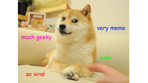 Viral content: An example of the doge meme.