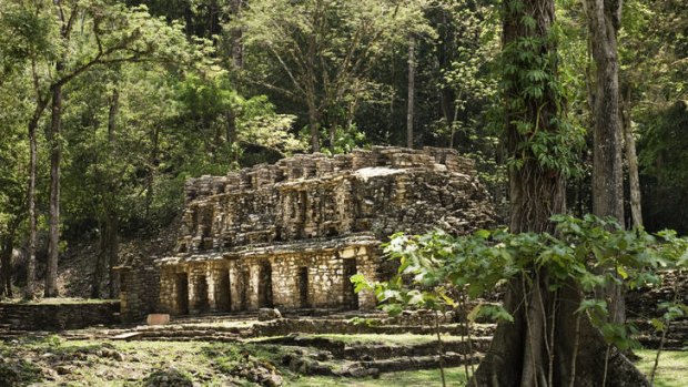 Yaxchilan archeological site in the jungle.