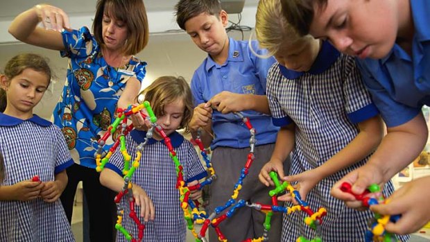 Students at St Cecilia's Primary School, Wyong, learn about resilience.