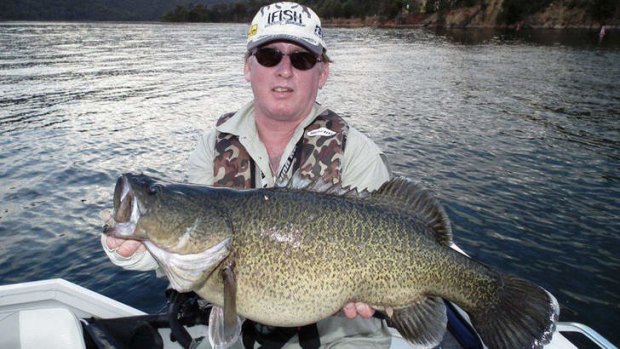 Steve Vidler with a Murray cod caught and released on Lake Eildon.
