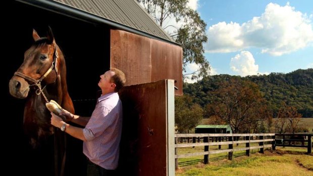 Holding his horses ... Paul Higgins, a thoroughbred breeder in the Hunter Valley, is undecided about introducing artificial insemination to the industry.