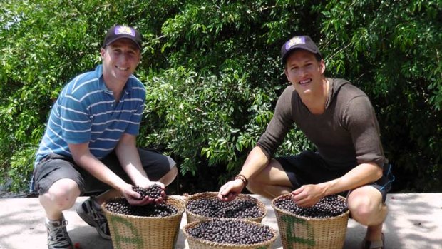 'Superfood' ... Dwayne Martens (right) and Chris Norden with the prized berries.