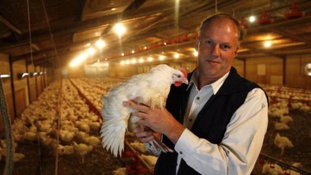 Chicken farmer Michael Shaw with one of his chooks at Moorooduc.