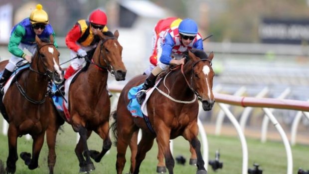 Streaming ahead: Streama will chase a fourth group 1 win in tomorrow's Doomben Cup.