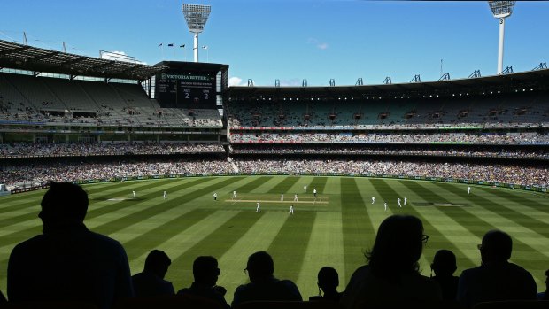 A $2.5 million skywalk and possible zipline will be built on the MCG.