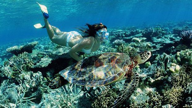 The Great Barrier Reef is among the Australian sites to be visited.