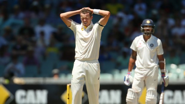 Under pressure: Fast bowler Peter Siddle shows the strain on day five in Adelaide.