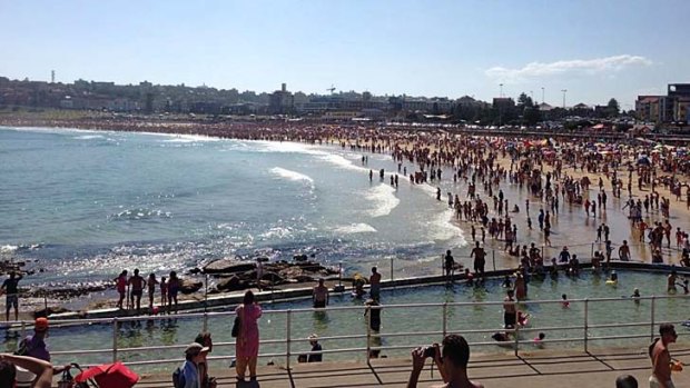 Shark scare ... beachgoers have evacuated the water at Bondi Beach