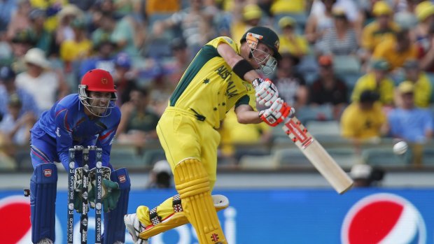 Smash hit: Australia's David Warner.