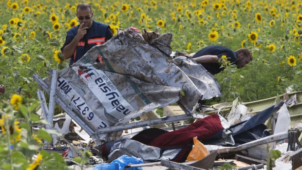 Foreign fields: Parts of Malaysia Arlines flight MH17 are inspected by Dutch investigators near the village of Grabovka.