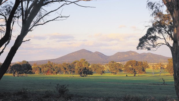 The 350-million-year-old You Yangs ranges.