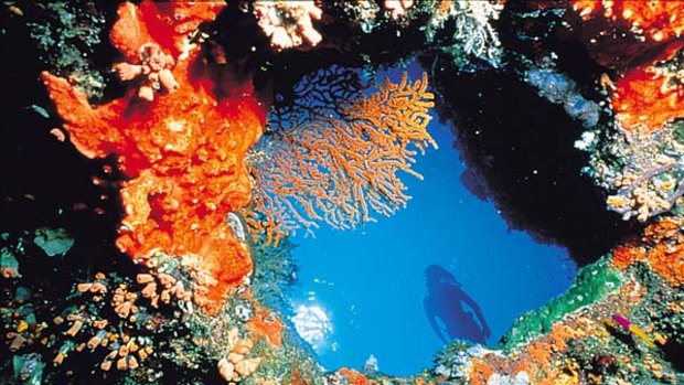 The spectacularly colourful underworld of Lizard Island on Queensland's Great Barrier Reef.