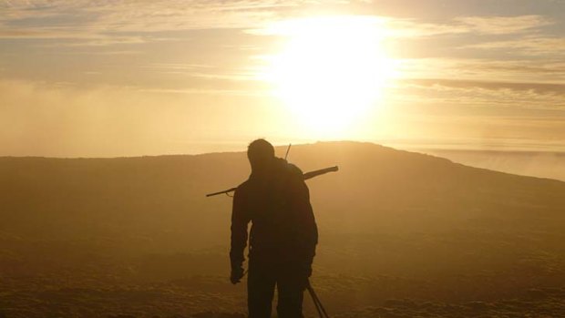 Finishing the job &#8230; hunter Cameron Walker on Macquarie Island's plateau. Since November 2011 no rabbit has been seen, nor their droppings nor prints.