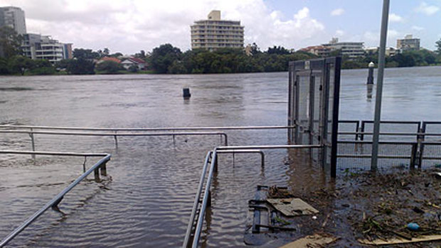 Mowbray Park CityCat terminal on January 12.