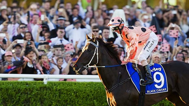 Black Caviar was unbeaten in 25 starts over a four-year career.