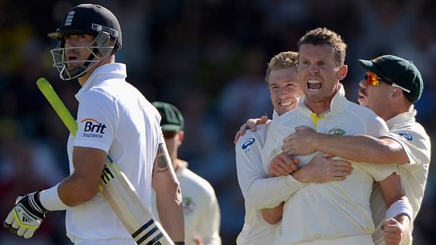That one counts ... Peter Siddle shows his sheer joy at again dismissing Kevin Pietersen.