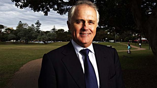 BRW Rich 200 list ... Federal MP Malcolm Turnbull made the list with wealth of $186 million.