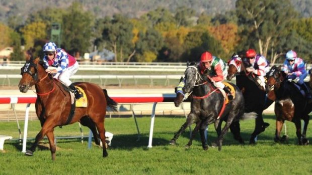 Unanimously is a big chance to win back-to-back Wagga Town Plates on Thursday.
