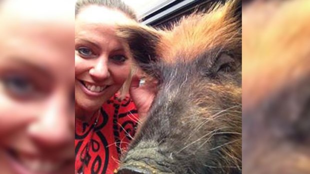 Herman the pig's all smiles during a selfie with Dunsborough local, Roanna West. 