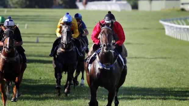 Black Caviar (right, ridden by Luke Nolen) races away from her rivals to win a Caulfield trial in effortless fashion.
