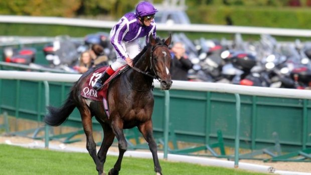 What's in a name: Coolmore's latest acquisition, Camelot.